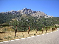 Baronie - Monte Albo